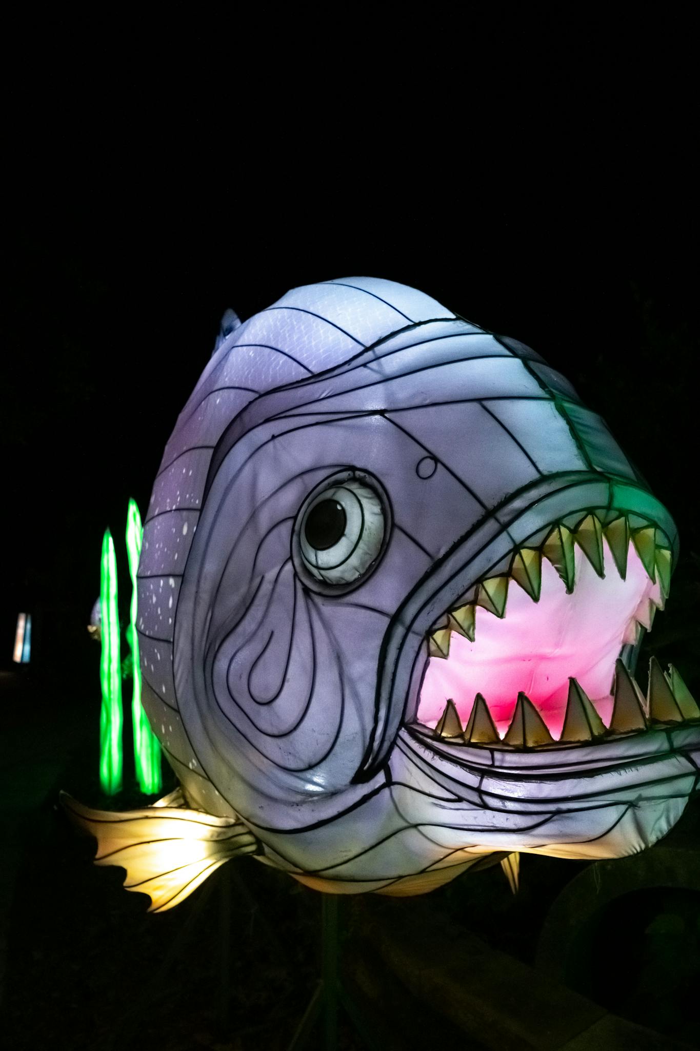 A large, illuminated fish lantern glows vibrantly at a nighttime festival.